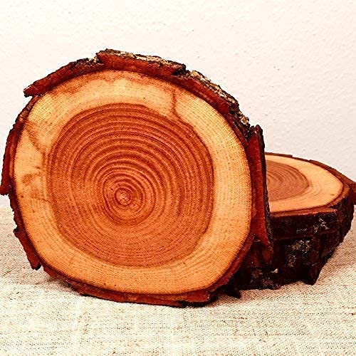 مزایای چوب بلوط